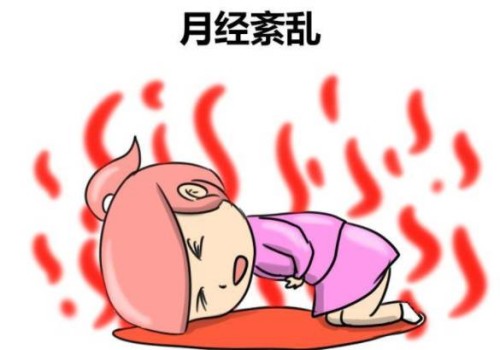 武汉试管婴儿价格：超长方案移植囊胚的流程，这些步骤都很重要