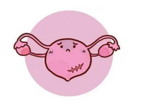 多囊女性吃这些食物可以让你的卵泡发育更好